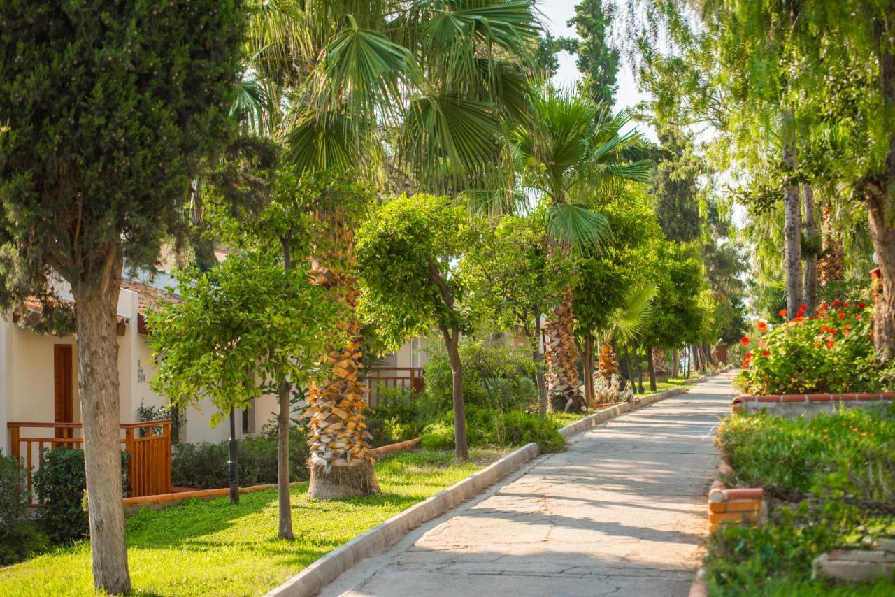 松树湾旅游度假酒店 库萨达斯 外观 照片 A street in the resort