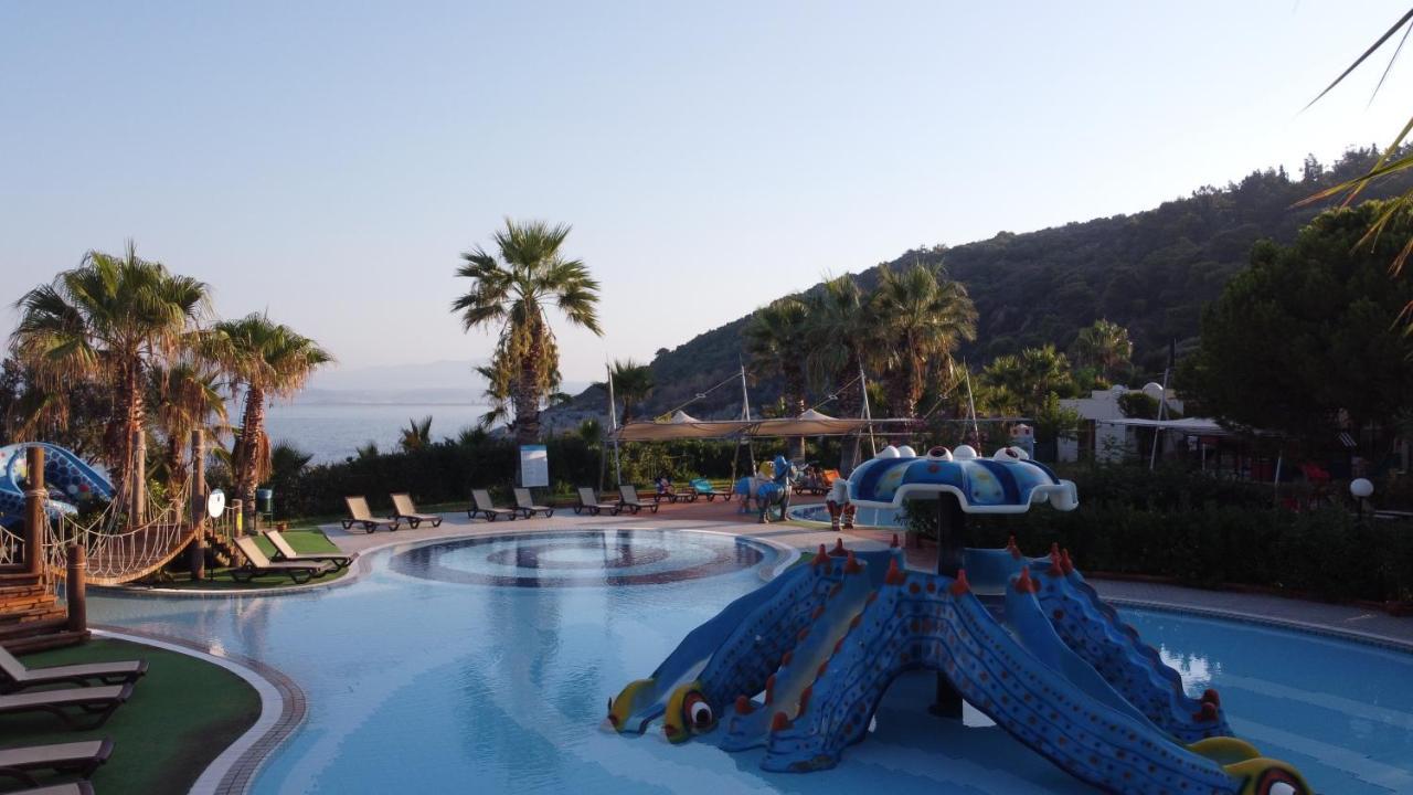 松树湾旅游度假酒店 库萨达斯 外观 照片 A pool at a hotel in Turkey