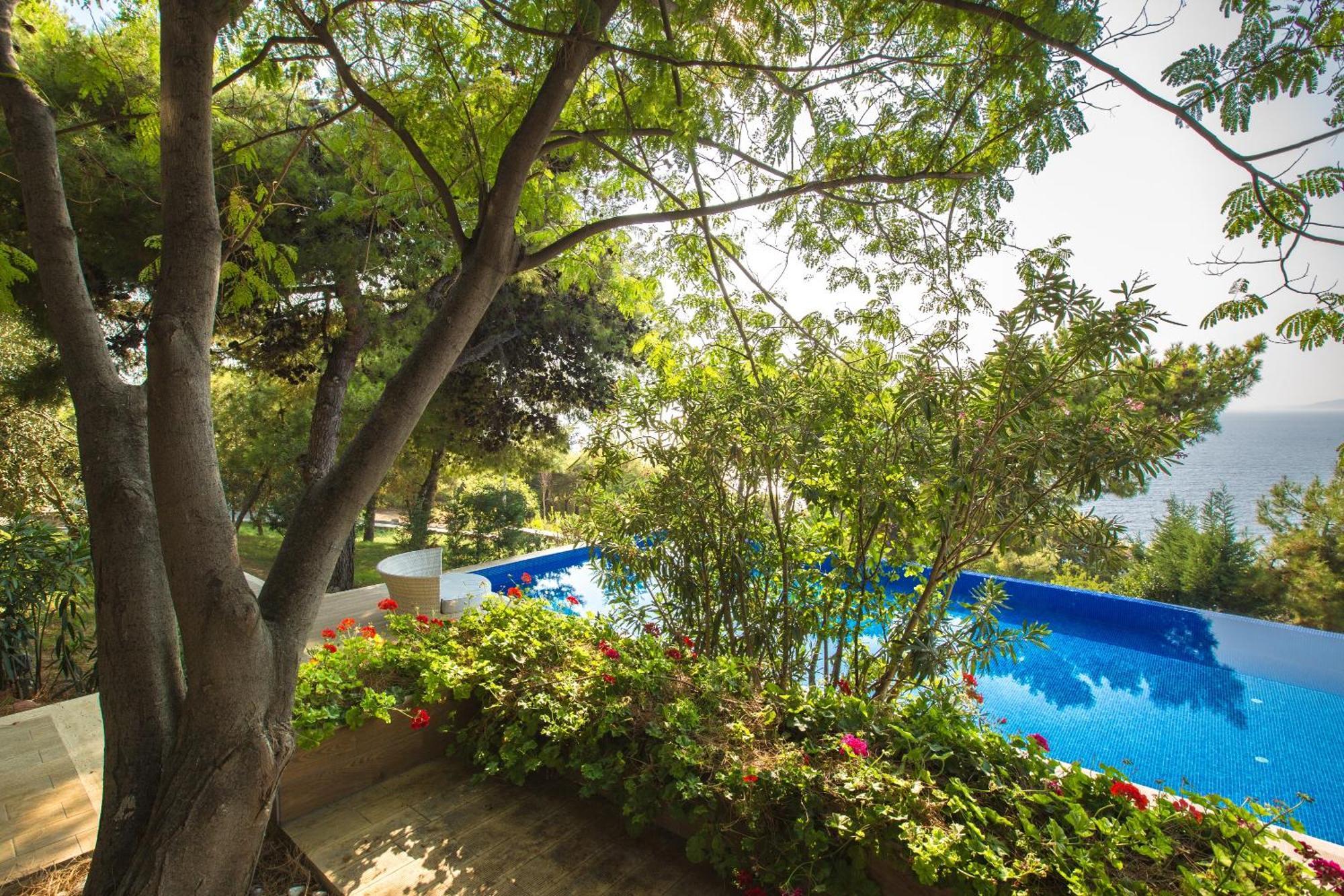 松树湾旅游度假酒店 库萨达斯 客房 照片 The pool at the hotel